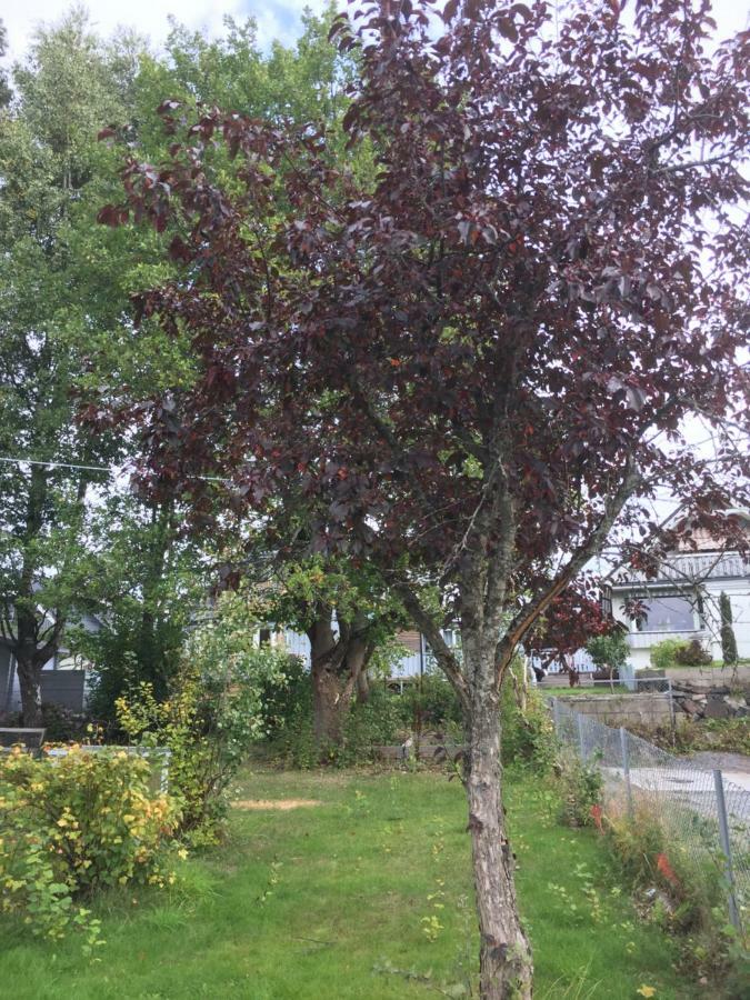 Skarer Veie 58 Lejlighed Lørenskog Eksteriør billede